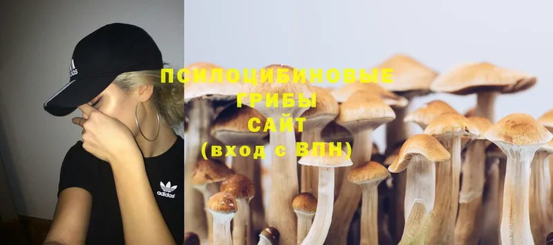 Галлюциногенные грибы Magic Shrooms  купить наркотик  OMG маркетплейс  Кизилюрт 